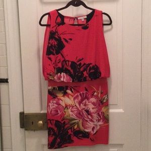 Red Sandra Darren 4p never worn floral dress